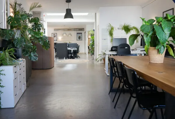 Moderne kantoorruimte aan de Haarlemmer Houttuinen 15H met veel groen, houten vergadertafel en werkplekken in de diepte.