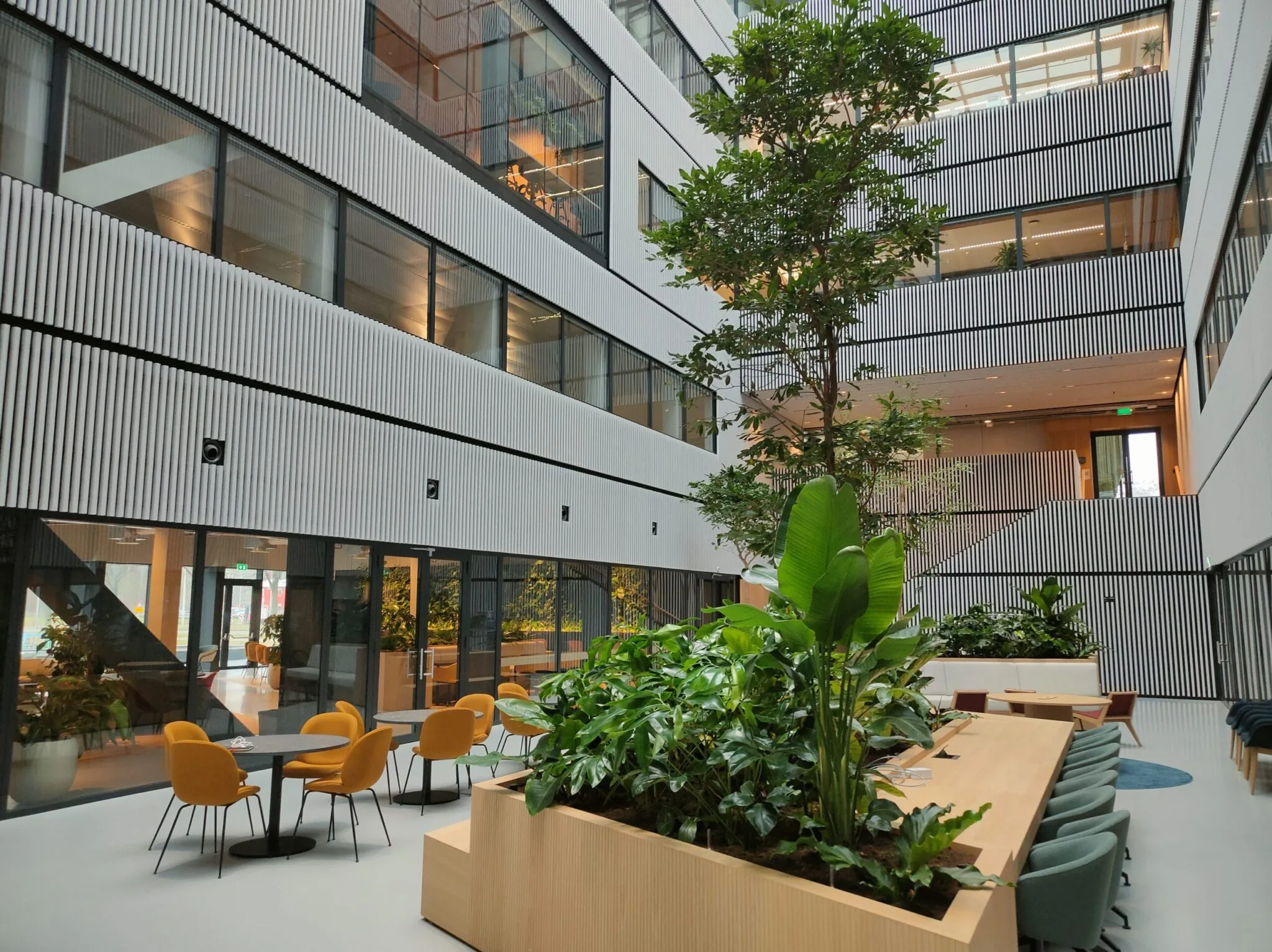 Moderne en groene kantoorruimte in het Oppo-gebouw met grote plantenbakken, zitplekken en veel natuurlijk licht.