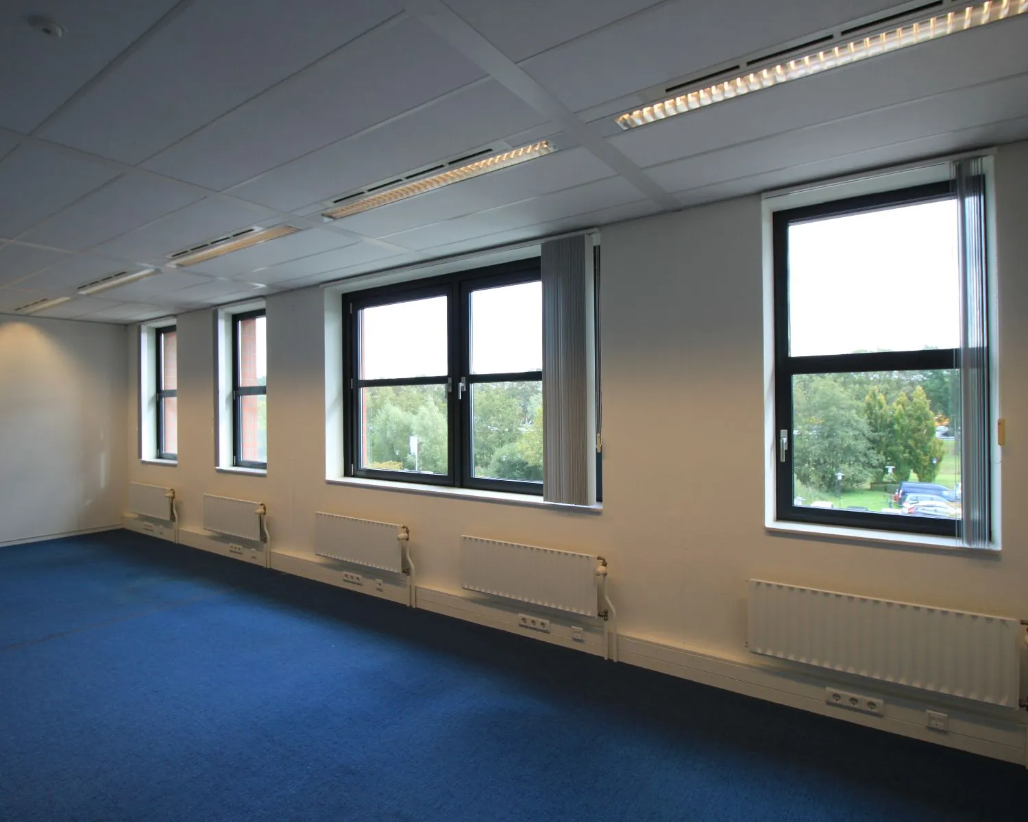 Leeg kantoor met blauwe vloerbedekking, witte muren en grote ramen met uitzicht op groen.