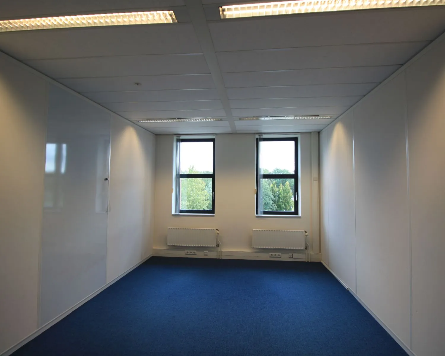 Lege kantoorruimte met blauw tapijt, witte muren en twee ramen met uitzicht op groen.