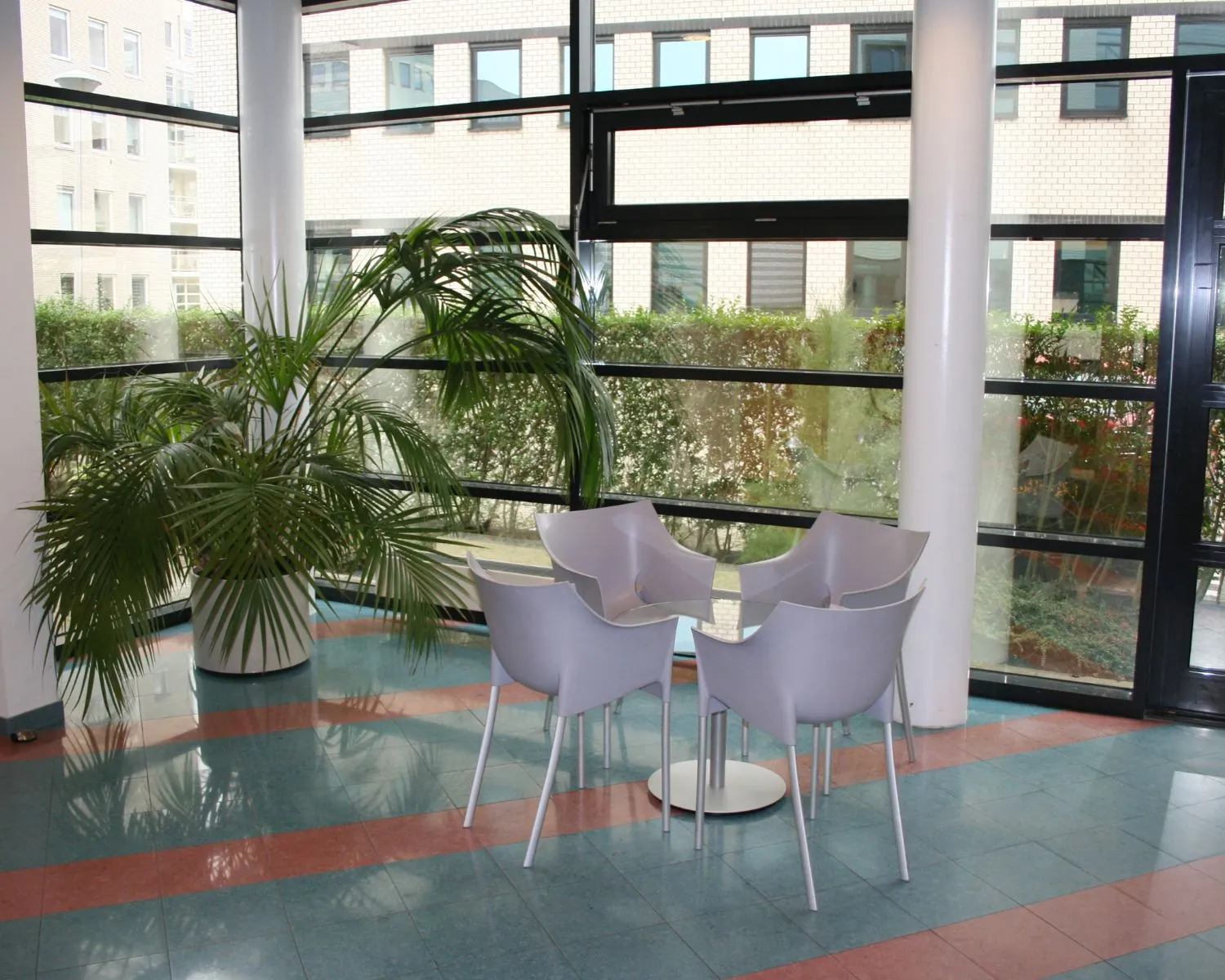 Zithoek met vier moderne stoelen en een ronde tafel bij grote ramen en een grote kamerplant.