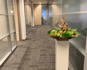 Een modern kantoorinterieur met een sierlijk plantenarrangement op een zuil in een lichte gang.