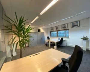 Modern ingerichte kantoorruimte met bureaus, kantoorstoelen, grote kamerplant en wanddecoratie met foto's.