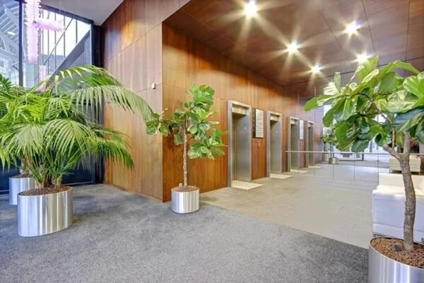 Moderne entreehal van een kantoorpand aan de Johan Cruijff Boulevard met liften, planten en houten wandafwerking.