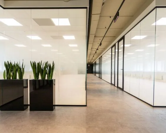 Moderne kantoorruimte aan de Boerhaavelaan 26 met glazen wanden, plafondverlichting en grote plantenbakken.