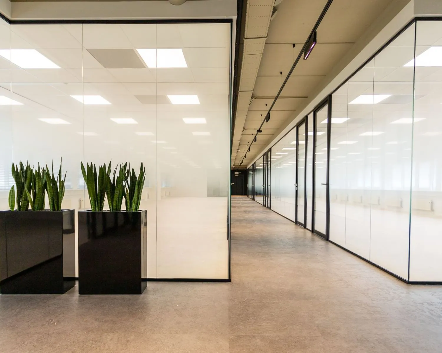 Moderne kantoorruimte aan de Boerhaavelaan 26 met glazen wanden, plafondverlichting en grote plantenbakken.