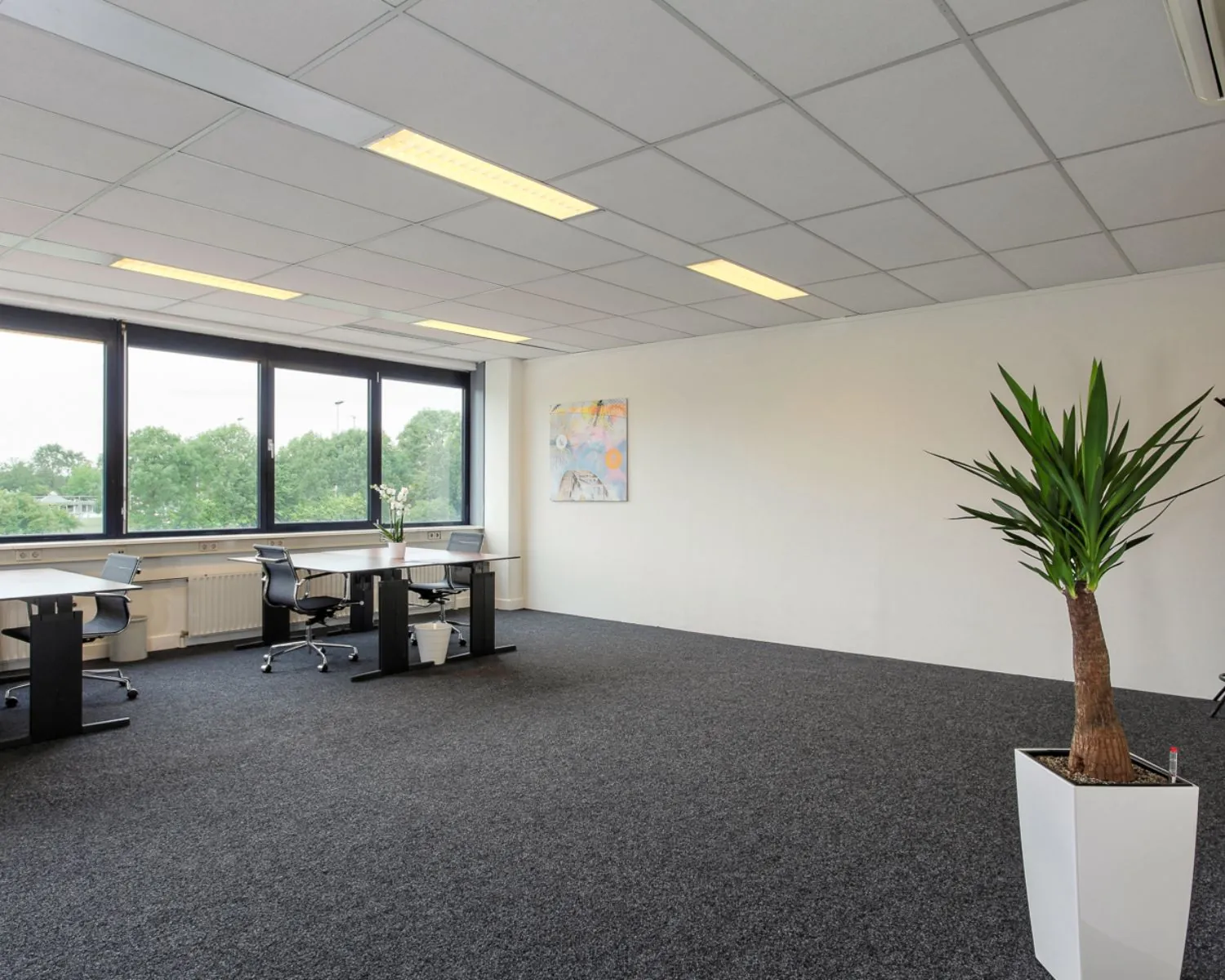 Ruime en lichte kantoorruimte met bureaus, grote ramen en een plant, gelegen aan De Limiet 15 in Vianen.
