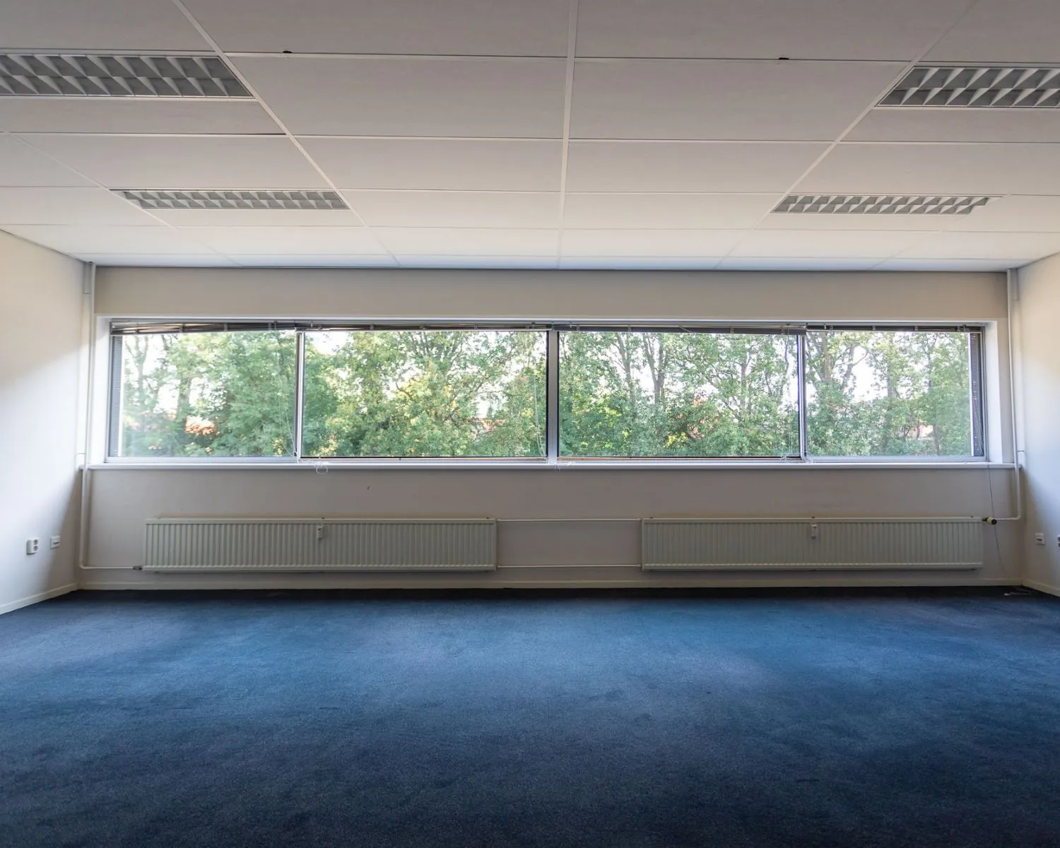 Lege kantoorruimte met blauwtapijt en grote ramen aan de Fruitweg 36-60, met uitzicht op groene bomen.