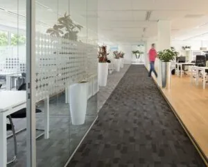 Moderne kantoorruimte aan de Laan van Malkenschoten 40 met glazen wanden, werkplekken en veel planten.