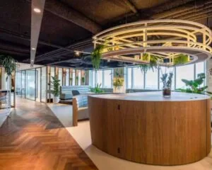 Moderne kantoorruimte aan de Weena 778 met houten vloeren, glazen vergaderruimtes en veel groen.