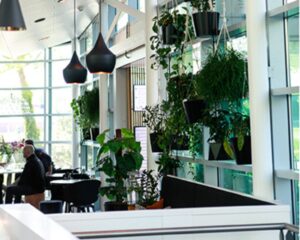 Moderne entree van kantoorruimte aan de Amstel met veel natuurlijk licht, hangende planten en zitgelegenheid.