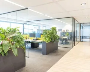 Moderne kantoorruimte aan de Tupolevlaan 41 in Schiphol met glazen wanden, bureaus en veel groenvoorziening.