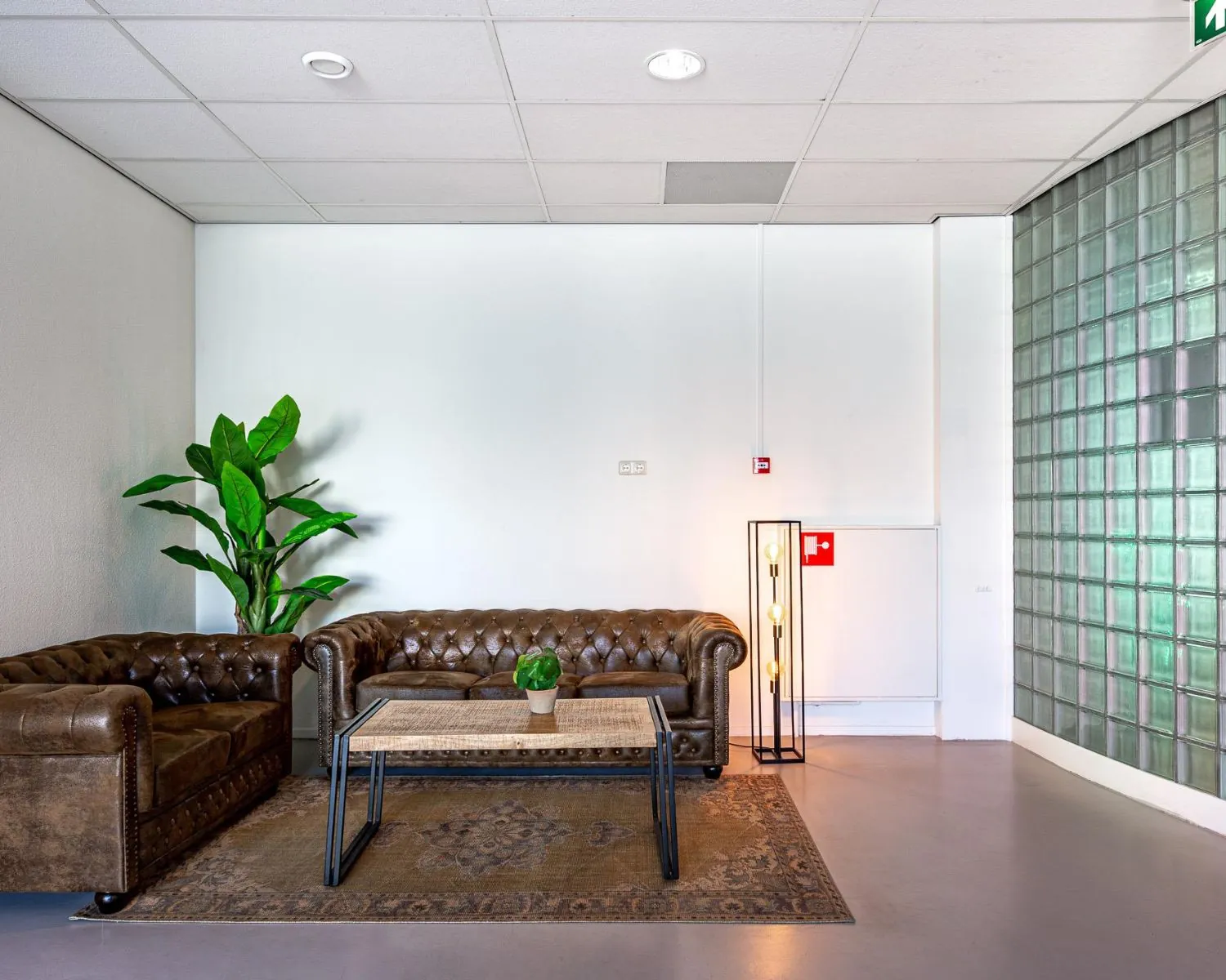 Wachtruimte in een kantoor aan de Ukkelstraat 2 in Eindhoven met leren zitbanken, een salontafel, plant en glazen bouwstenenmuur.