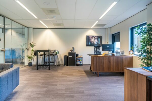 Modern ingericht kantoor met houten bureau, zithoek, vergadertafel en decoratieve elementen zoals een leeuwenfoto en planten.