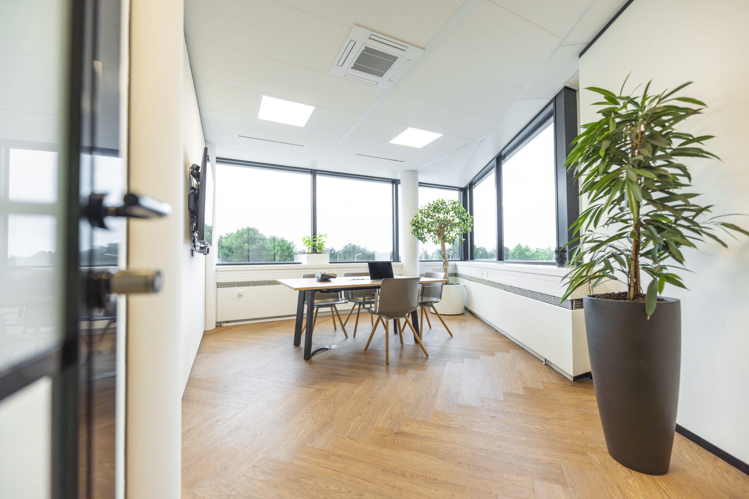 Modern en licht kantoor met houten vloer, grote ramen en meerdere planten.