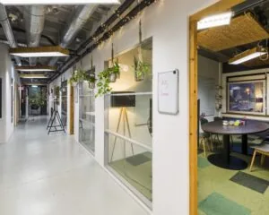 Moderne kantoorruimte aan de Hogehilweg 20 in Amsterdam met glazen wanden, ronde vergadertafel en hangende planten in een lichte gang.