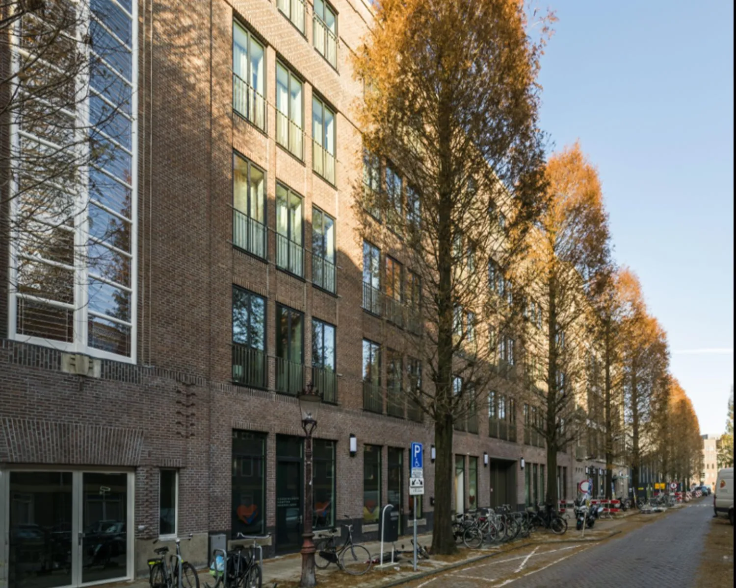 Moderne kantoorpanden aan de Karel du Jardinstraat in Amsterdam met fietsenrekken en lijnrechte bomen langs de straat.