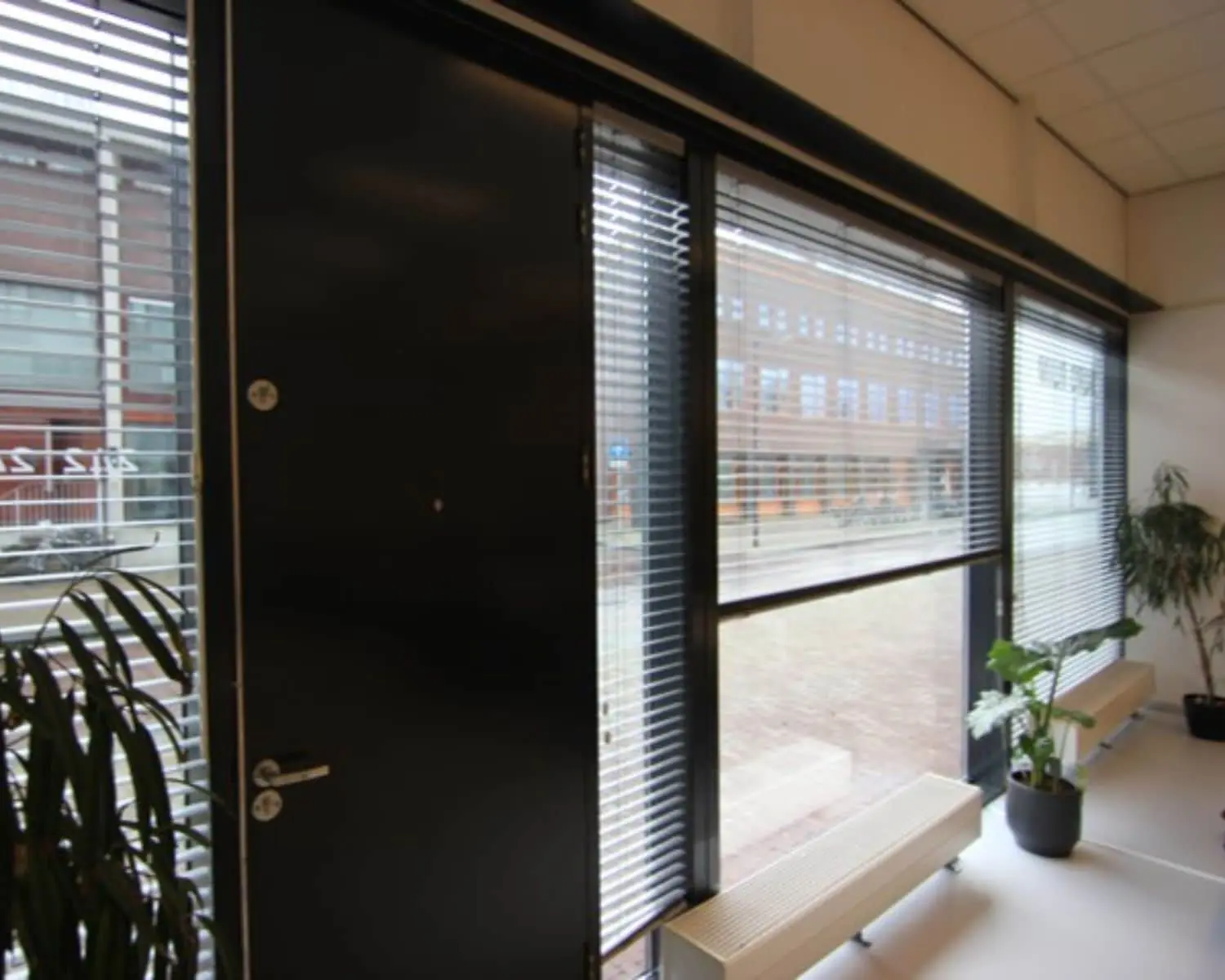Kantoorruimte aan de Baron G.A. Tindalstraat met grote ramen, jaloezieën en meerdere kamerplanten.