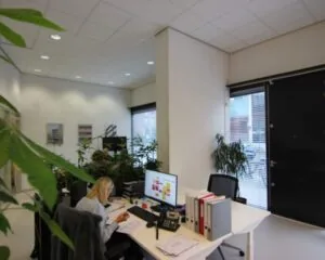Moderne kantoorruimte aan de Baron G.A. Tindalstraat met werkplekken, planten en daglicht via grote ramen.