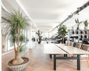 Moderne, lichte kantoorruimte aan de Geldersekade 101 met houten vloeren, grote planten en gedeelde werkplekken.