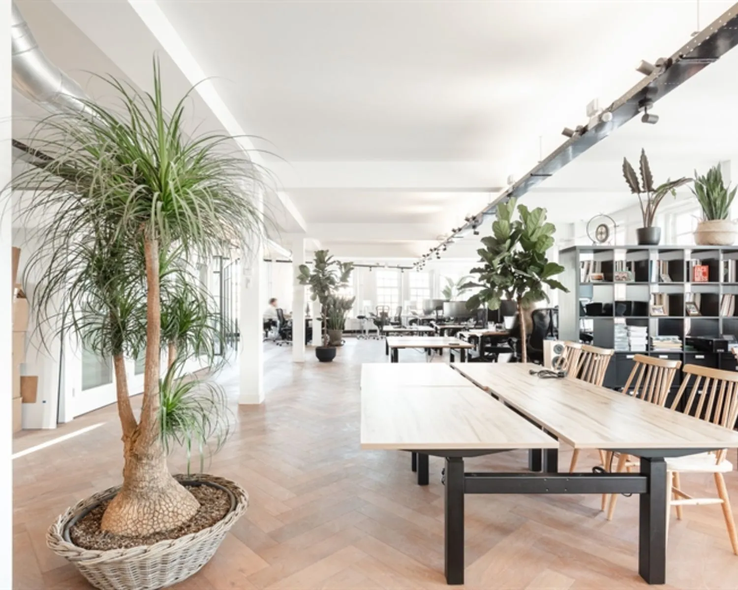 Moderne, lichte kantoorruimte aan de Geldersekade 101 met houten vloeren, grote planten en gedeelde werkplekken.