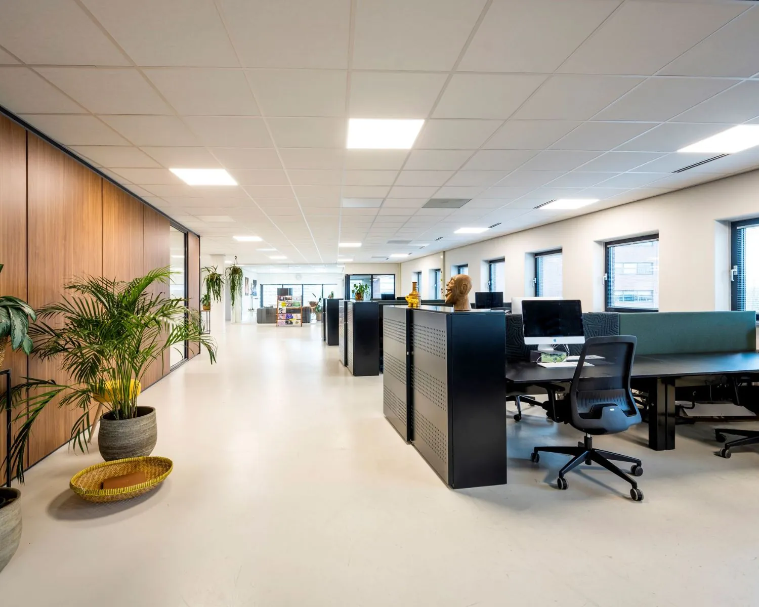 Moderne en lichte kantoorruimte aan de Joop Geesinkweg 140-199 in Amsterdam met werkplekken, planten en grote ramen.
