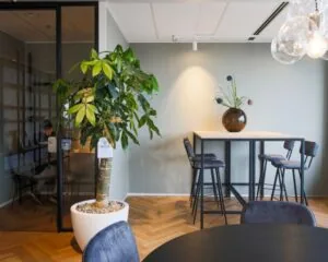 Moderne kantoorruimte aan Weena 690 in Rotterdam met een hoge tafel, barkrukken, grote kamerplant en glazen vergaderruimte.