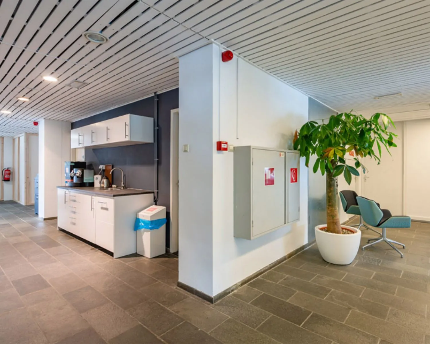 Moderne kantoorruimte aan de Zomerhofstraat 84 in Rotterdam met pantry, zithoek en grote kamerplant.