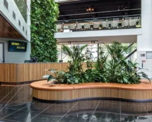 Moderne kantoorlobby in het Keynes Building in Amsterdam met houten balie, groene plantenwand en zitgedeelte met binnentuin.