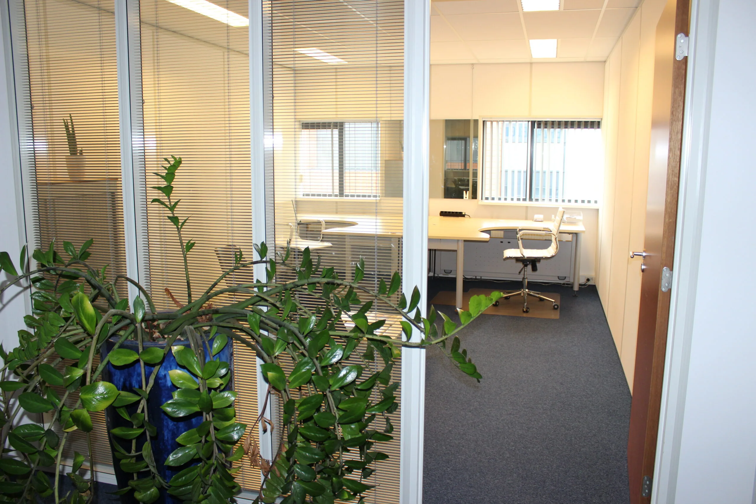 Moderne, lichte kantoorruimte aan de Leeghwaterstraat 25 in Reeuwijk met een bureau, bureaustoel en kamerplant.