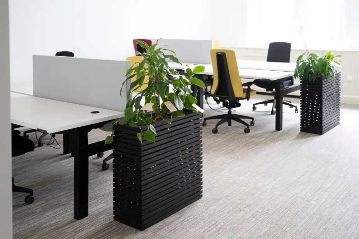 Moderne kantoorruimte aan de Kromme Nieuwegracht in Utrecht met bureaus, ergonomische stoelen en grote plantenbakken.