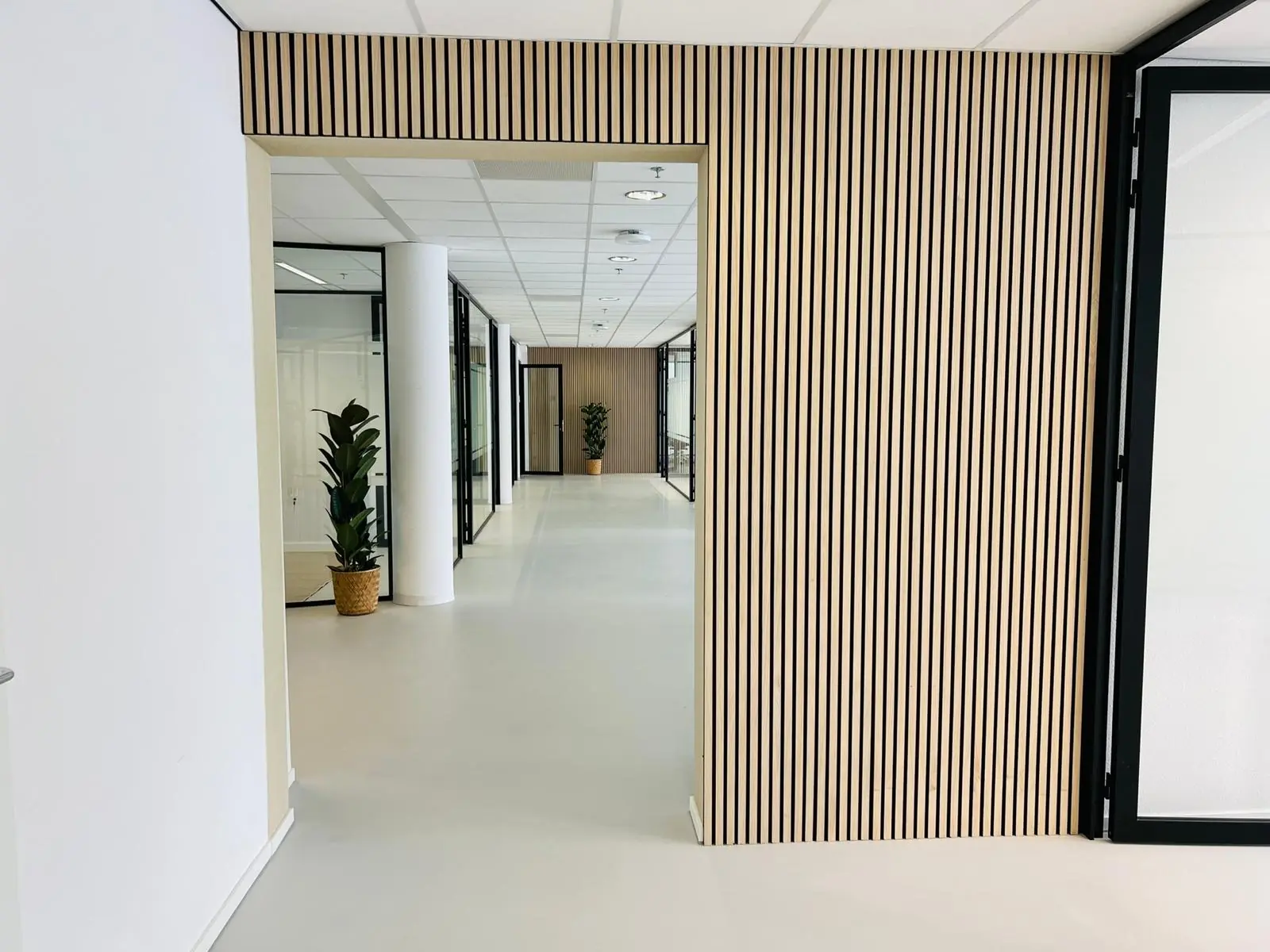 Moderne kantoorruimte aan het Kruisplein 480 in Rotterdam met glazen wanden, houten lattenwand en groene planten.