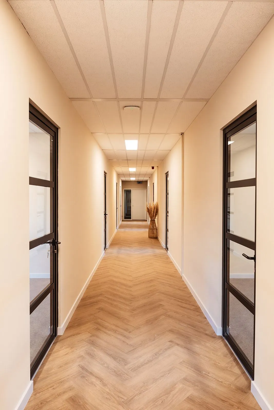 Licht en modern kantoorinterieur met een houten vloer en glazen kantoordeuren in Mercurion 24, Zevenaar.