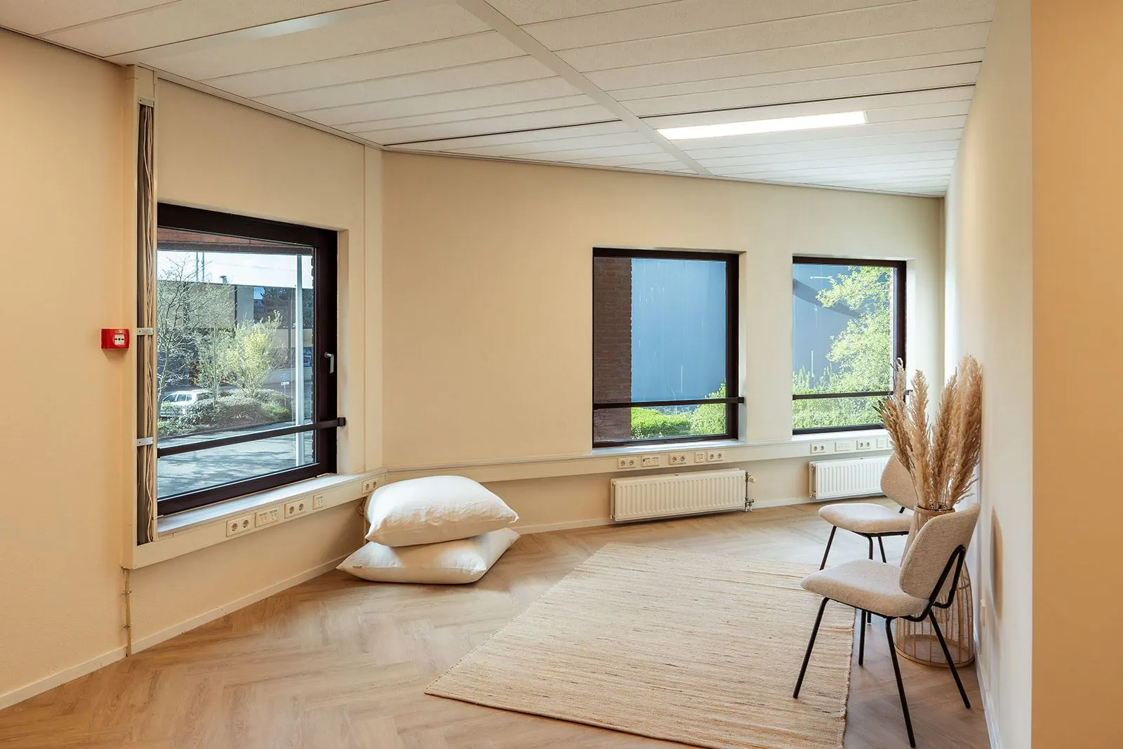 Lichte, moderne kantoorruimte in Mercurion 24 in Zevenaar met grote ramen, twee stoelen, een vloerkleed en decoratief pampasgras.