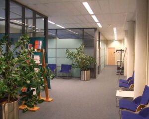 Wachtkamer met blauwe stoelen, planten, een tijdschriftenrek en glazen kantoormuren.