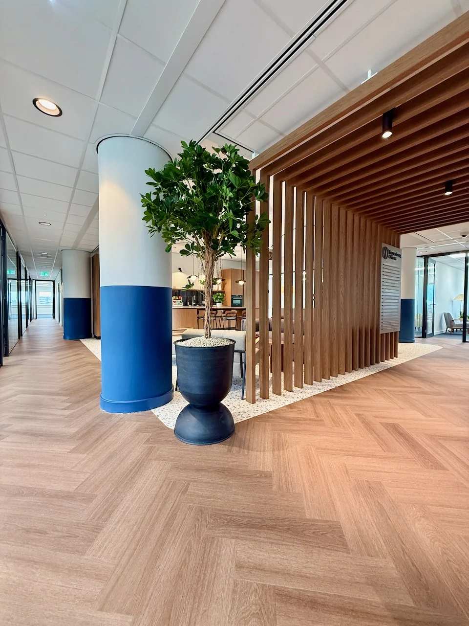 Moderne lounge op de 6e verdieping van Kronenburg Offices met houten vloer, houten lamellenwand en een grote plant in een zwarte pot.