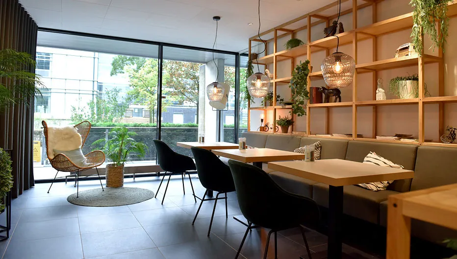 Moderne zithoek in Laan van Vredenoord 33 met grote ramen, houten wandrek, planten en sfeerverlichting.