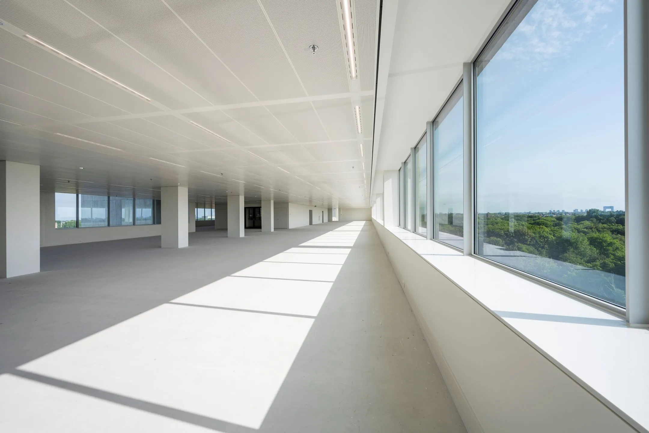 Licht en ruim leeg kantoorpand aan de Nachtwachtlaan met grote ramen en uitzicht op groen.