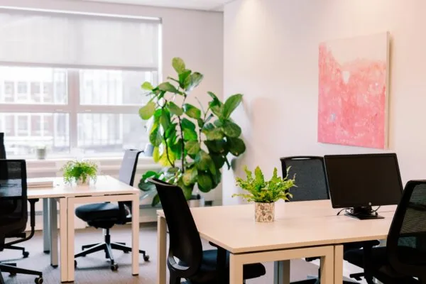 Moderne kantoorruimte aan de Newtonlaan 115 met witte bureaus, zwarte stoelen, groene planten en een roze kunstwerk aan de muur.