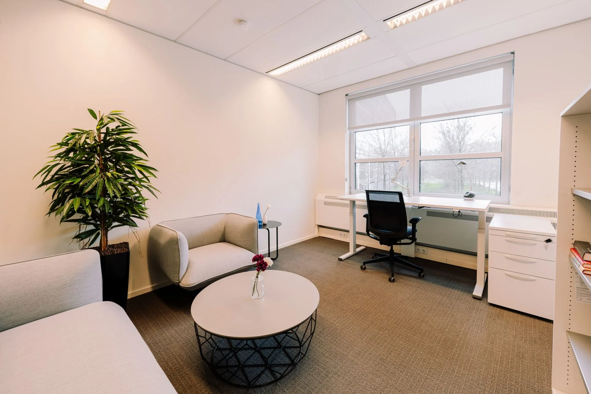 Modern ingericht kantoor op Newtonlaan 115 met bureaustoel, zitgedeelte, planten en uitzicht op bomen.