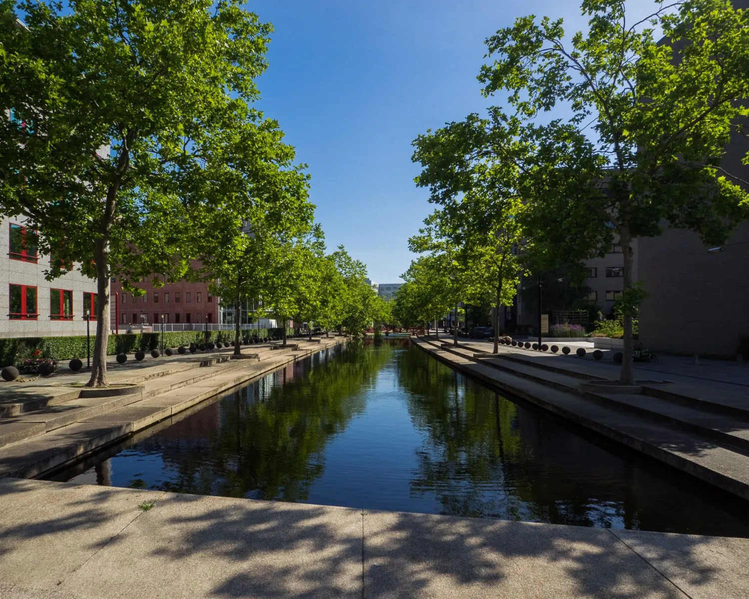 Moderne stedelijke gracht aan de Newtonlaan in Utrecht, omringd door bomen en kantoorgebouwen.