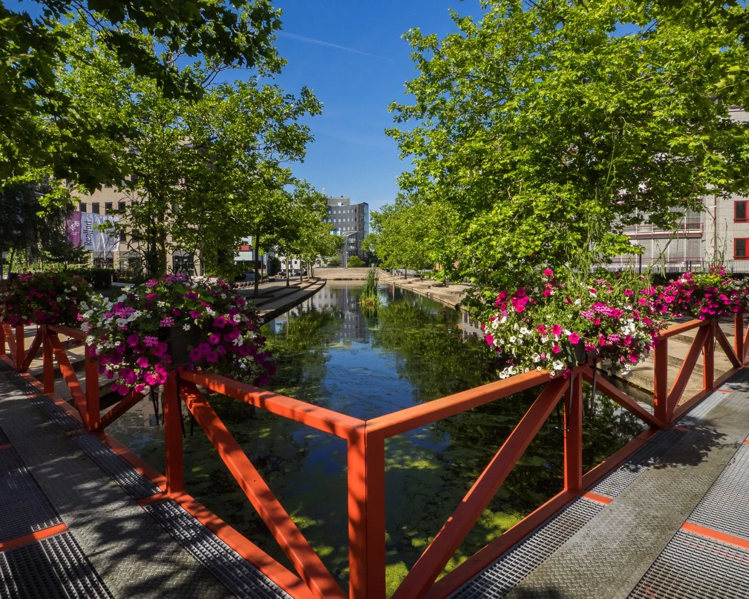 Oranje brug met bloemenbakken en uitzicht op de waterpartij aan de Newtonlaan in Utrecht.