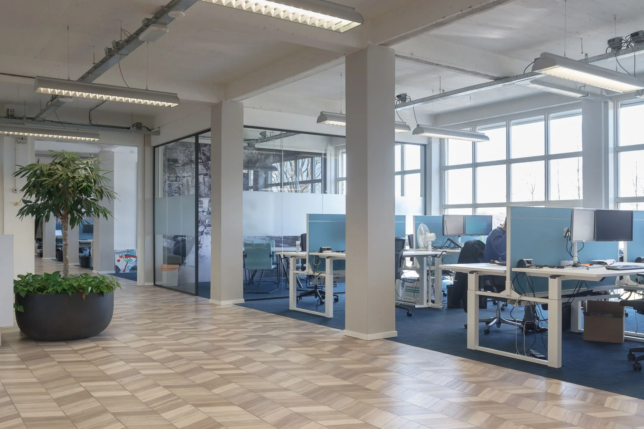 Moderne kantoorruimte aan de Overschieseweg 35 met open werkplekken, glazen vergaderruimte en een grote kamerplant.
