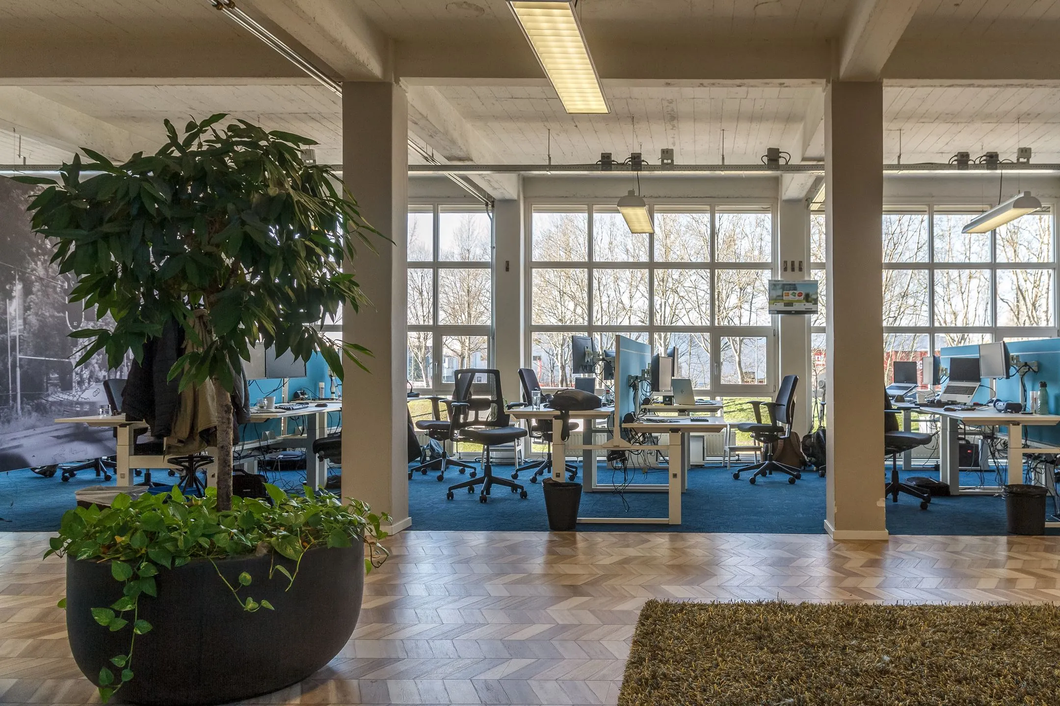 Modern kantoorinterieur aan de Overschieseweg 35 met werkplekken, grote ramen en een grote kamerplant.