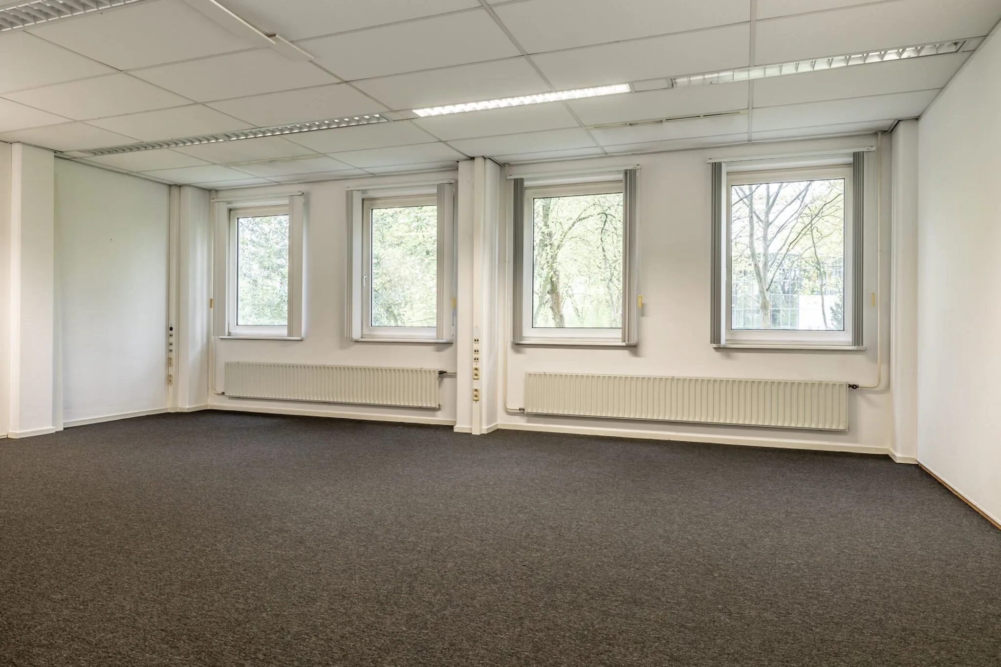 Lichte, lege kantoorruimte met vier ramen, systeemplafond en donkergrijze vloerbedekking in Paardeweide 2A-4C.