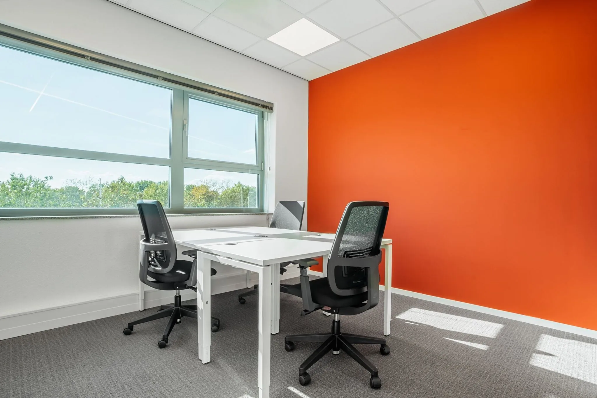 Licht kantoor met drie bureaus, zwarte stoelen en een opvallende oranje accentmuur aan de Papendorpseweg 75.