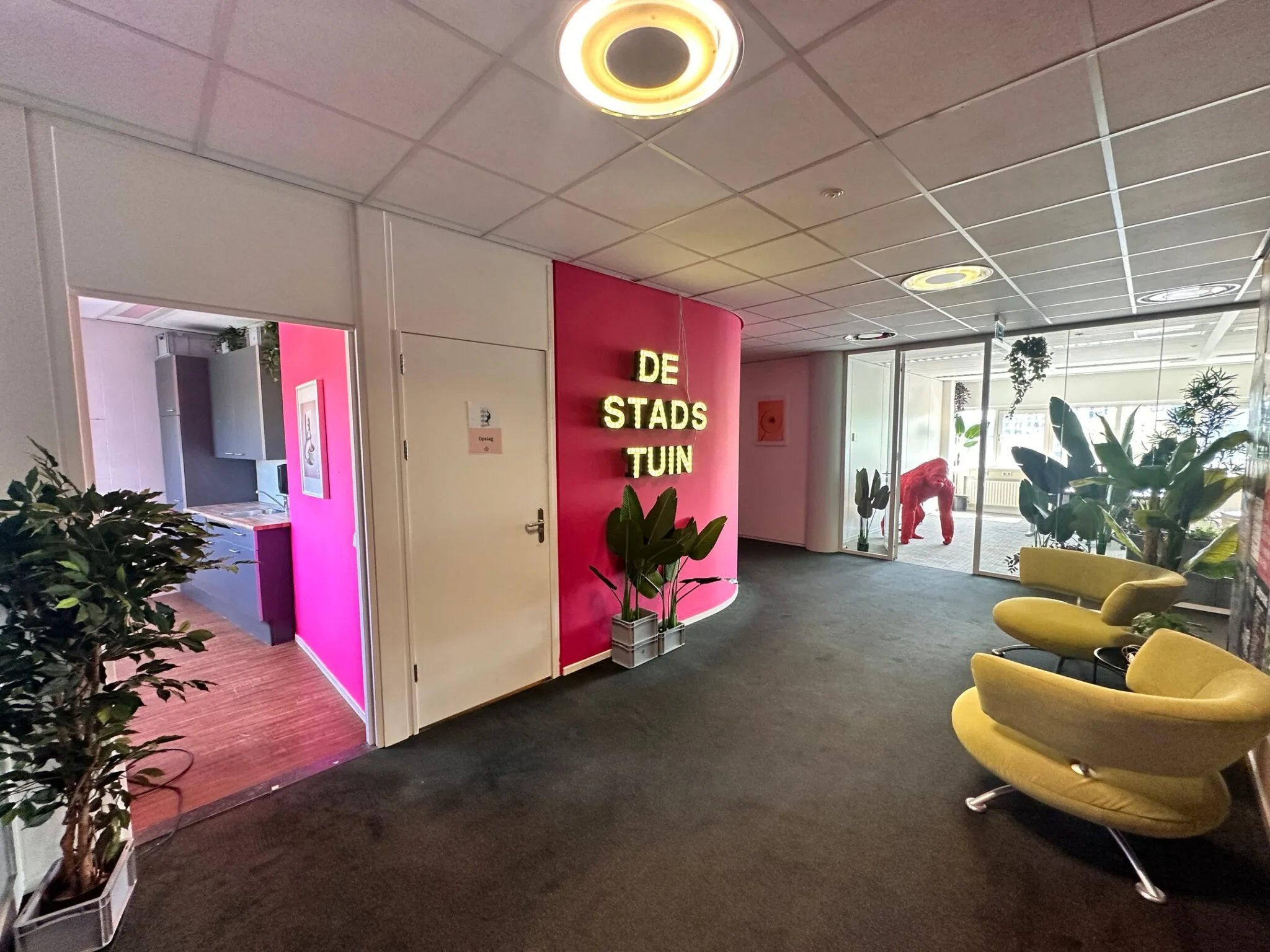 Ontvangstruimte van De Stadstuin met roze muur, neonverlichting, planten en moderne zitstoelen.