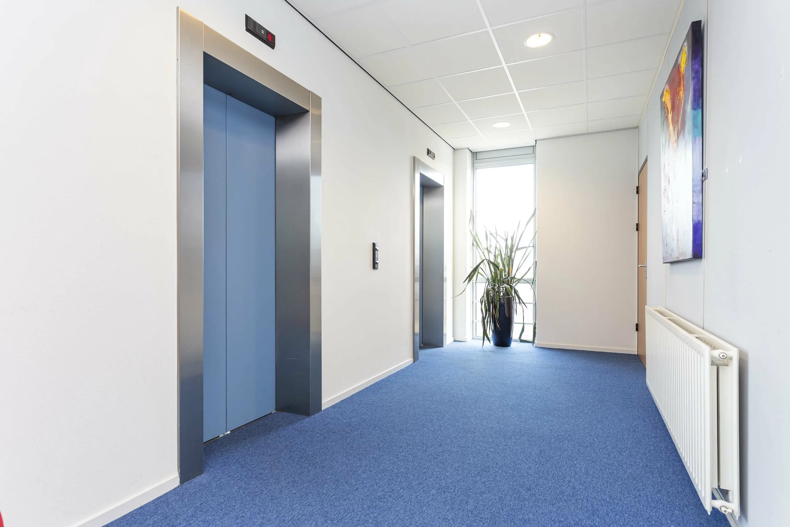 Lichte, moderne kantoorhal in Ravelijn 1 met twee blauwe liften, een groot raam en een plant in een zwarte pot.