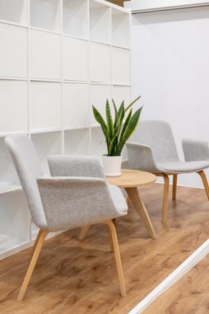 Twee grijze stoelen en een houten tafeltje met een sanseveria in een moderne wachtruimte op Rotterdam Airportplein 22.