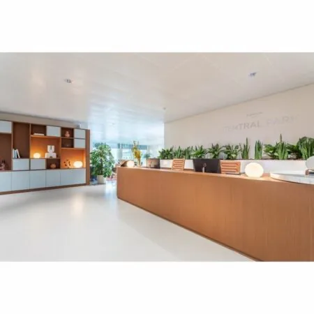 Moderne ontvangstruimte van Central Park op Stadsplateau 27-29 met houten balie, planten en strakke inrichting.